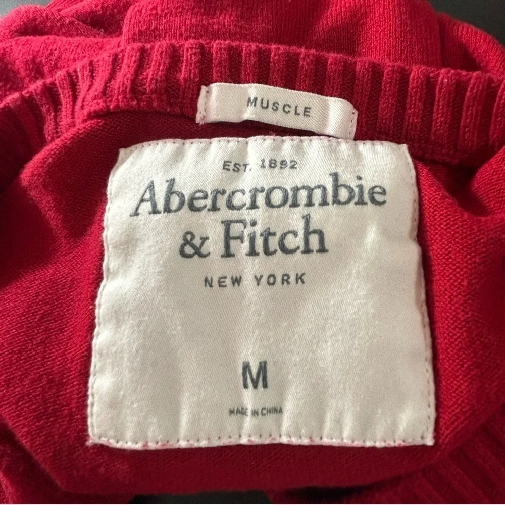 Abercrombie & Fitch V-Neck Sweater Men's Cotton Wool Cashmere Red White Medium